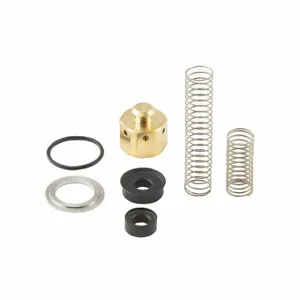 ASCO VALVES 236811 Rebuild Kit, Solenoid Valve | CN8XFZ 44U382