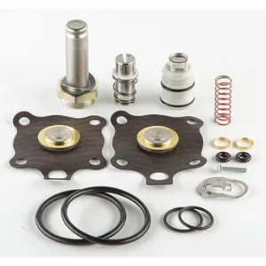 ASCO VALVES 314496 Rebuild Kit, Solenoid Valve | CN8XEU 44U417