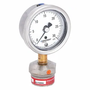 ASHCROFT 251009AW02L/310SSLXCG30 Pressure Gauge 0 To 30 Psi 2-1/2 Inch 1/4in | AD7GMN 4EFW4