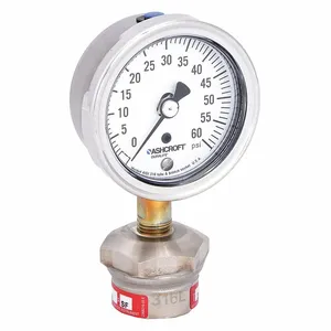 ASHCROFT 251009AW02L/310SSLXCG60 Pressure Gauge 0 To 60 Psi 2-1/2 Inch 1/4in | AD7GMP 4EFW5