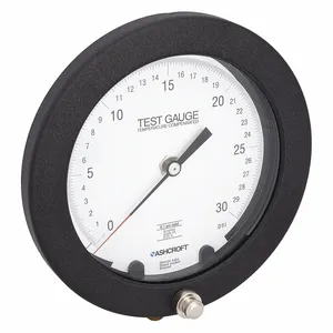 ASHCROFT 60-1082AS 02L 30 PSI Pressure Gauge 0 To 30 Psi 6 Inch 1/4 Inch Npt | AB9TFB 2F161