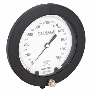 ASHCROFT 60-1082PS 02L 2000 PSI Pressure Gauge 0 To 2000 Psi 6 Inch 1/4in | AB9TFJ 2F175