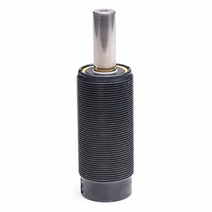 RAYMOND TM 250-063 Gas Spring, Heavy Duty Nitrogen, Carbon Steel, 4.5 Inch Size Compressed Length | CT8UAV 54JR27