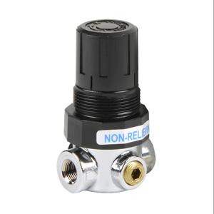HYDROMODE FR-817 Potable Water Pressure Regulator, 1/8 Inch Female Npt Inlet, 1/8 Inch Female Npt Outlet | CV7XHH