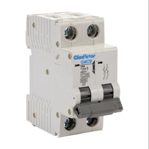 GLADIATOR GMCB-2B-10 Miniature Supplementary Protector, 10A, 480Y/ 277 VAC/ 125 VDC, 2-Pole, B Curve | CV7VYH