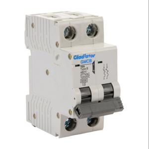 GLADIATOR GMCB-2B-16 Miniature Supplementary Protector, 16A, 480Y/ 277 VAC/ 125 VDC, 2-Pole, B Curve | CV7VYK