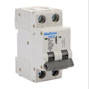 GLADIATOR GMCB-2B-2 Miniature Supplementary Protector, 2A, 480Y/ 277 VAC/ 125 VDC, 2-Pole, B Curve | CV7VYL