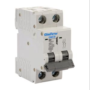 GLADIATOR GMCB-2B-30 Miniature Supplementary Protector, 30A, 480Y/ 277 VAC/ 125 VDC, 2-Pole, B Curve | CV7VYQ