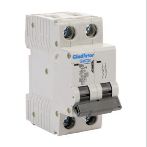 GLADIATOR GMCB-2B-63 Miniature Supplementary Protector, 63A, 480Y/ 277 VAC/ 125 VDC, 2-Pole, B Curve | CV7VYY