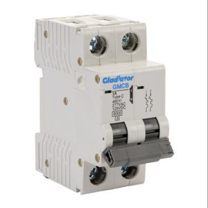 GLADIATOR GMCB-2C-1 Miniature Supplementary Protector, 1A, 480Y/ 277 VAC/ 125 VDC, 2-Pole, C Curve | CV7VZA