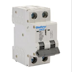 GLADIATOR GMCB-2C-10 Miniature Supplementary Protector, 10A, 480Y/ 277 VAC/ 125 VDC, 2-Pole, C Curve | CV7VZB