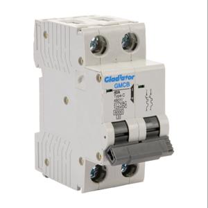 GLADIATOR GMCB-2C-40 Miniature Supplementary Protector, 40A, 480Y/ 277 VAC/ 125 VDC, 2-Pole, C Curve | CV7VZM
