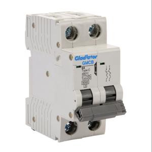 GLADIATOR GMCB-2C-8 Miniature Supplementary Protector, 8A, 480Y/ 277 VAC/ 125 VDC, 2-Pole, C Curve | CV7VZT