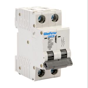 GLADIATOR GMCB-2D-2 Miniature Supplementary Protector, 2A, 480Y/ 277 VAC/ 125 VDC, 2-Pole, D Curve | CV7VZY