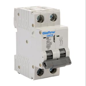 GLADIATOR GMCB-2D-32 Miniature Supplementary Protector, 32A, 480Y/ 277 VAC/ 125 VDC, 2-Pole, D Curve | CV7WAD