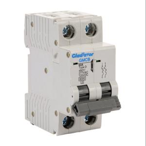 GLADIATOR GMCB-2D-63 Miniature Supplementary Protector, 63A, 480Y/ 277 VAC/ 125 VDC, 2-Pole, D Curve | CV7WAK
