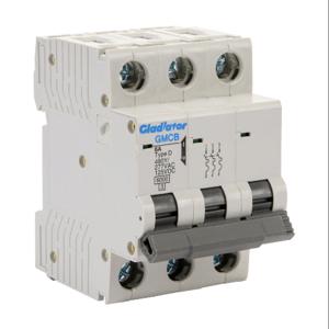 GLADIATOR GMCB-3D-6 Miniatur-Zusatzschutz, 6 A, 480 Y/277 VAC/125 VDC, 3-polig, D-Kurve | CV7WCP
