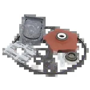 BANJO FITTINGS 15000 Pump Repair Kit | BW9QPY