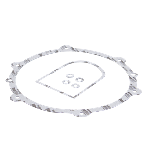 BANJO FITTINGS 16019 Internal Gasket Set, 4 Inch Size | BW8UCW