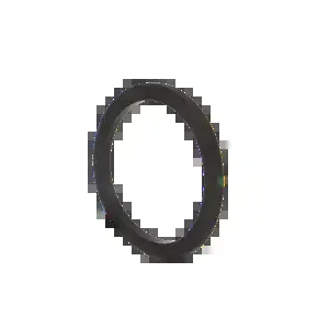 BANJO FITTINGS 400GV Gasket, Cam And Groove, 4 Inch Size, FKM | BW9BTU