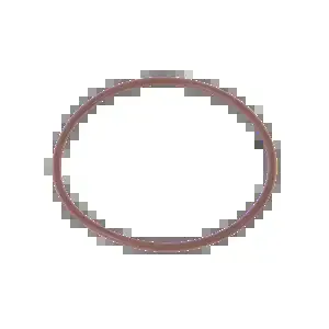 BANJO FITTINGS A238V O Ring, FKM | BW8VQV