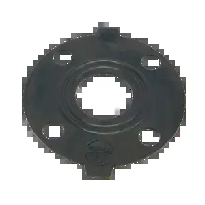 BANJO FITTINGS AF200G Ansi Flange Gasket Epdm, 2 Inch Size | BW8PEP