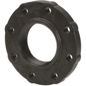 BANJO FITTINGS AF400 Flange Gasket, 4 Inch Female Thread | AB2KDA 1MJW1