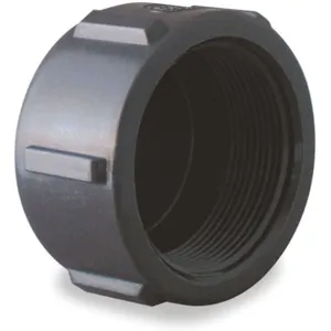 BANJO FITTINGS CAP075 Pipe Cap 3/4 Inch Fpt Polypropylene 150 Psi Black | AB2KDC 1MJW3