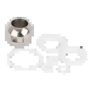 BANJO FITTINGS DM101SS Male Dry Mate Repair Kit, 1 Inch, Stainless Steel | BW9MTL