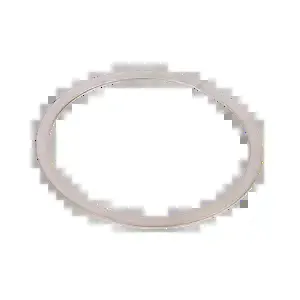 BANJO FITTINGS DM25002 Spiral Retaining Ring | BW8ZQP