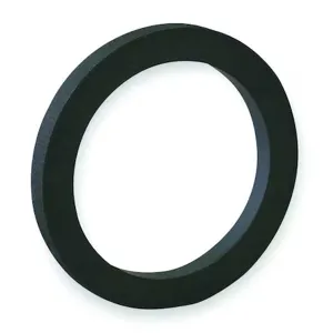 BANJO FITTINGS 100G Cam and Groove Gasket, 1, Inch, EPDM | AA9KMY 1DPK5