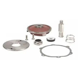 BANJO FITTINGS 17100 Repair Kit, Cast Iron Pump | BW9VFB 42EA81