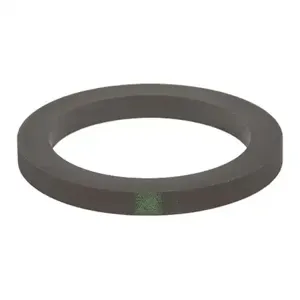 BANJO FITTINGS 200GV Gasket, FKM | BW8UGF