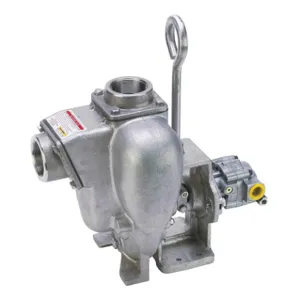 BANJO FITTINGS 300PHYSS Pump With 21 HP Tyrone Hydraulic Motor, 3 Inch, Stainless Steel | BX2GPG