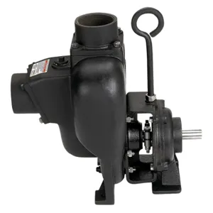 BANJO FITTINGS 333PBI Cast Iron Pump 3 Inch, With 3 Inch Inlet | BX2FKF