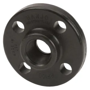 BANJO FITTINGS AF100 Female Flange, Class 150, 1 Inch Size | AB2KCW 1MJV6