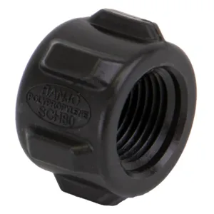 BANJO FITTINGS CAP038 Cap, 3/8 Inch Fnpt Black | AE4RHF 5MLU8