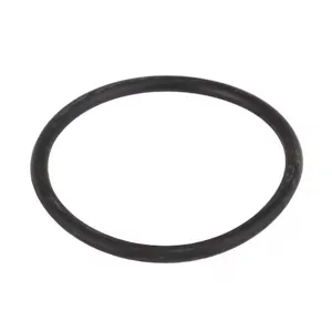 BANJO FITTINGS LST150-G T Strainer Gasket, 1-1/2 Inch And 1-1/4 Inch Size | AC8TZH 3DTY6