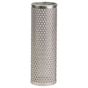 BANJO FITTINGS MLS280SS Full Port 80 Mesh Perated Screen, 2 Inch, Stainless Steel | BW9MEA