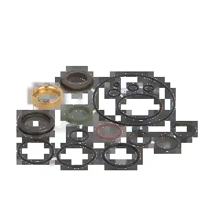 BANJO FITTINGS HY1003 Hydraulic Motor Seal Kit | BW9VMN