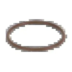 BANJO FITTINGS LS100-GV Line Strainer Gasket, 1 Inch, FKM | BW8JUC