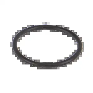 BANJO FITTINGS LS125G O Ring | BW8BKZ