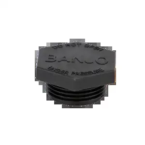 BANJO FITTINGS LSQ200-PL LSQ Strainer Plug | BW8CYY