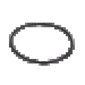 BANJO FITTINGS LST034G O Ring, Screens | BW8CEQ