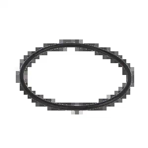 BANJO FITTINGS MLS234G Gasket | BW8ACL