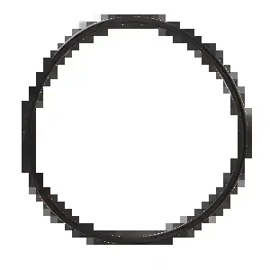 BANJO FITTINGS MLS300G Manifold Line Strainer Epdm Cap Gasket, 3 Inch Size | BW8JTG