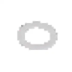 BANJO FITTINGS V20060 Bearing Gasket, TFE | BW8AWF