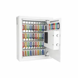 BARSKA AX12658 Key Cabinet, Wall Mount, 48 Key Capacity, Key Hooks | CN9DNU 53JF21