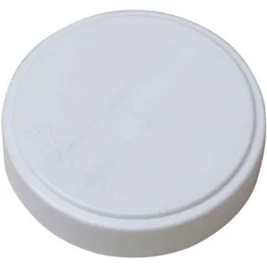 BASCO GDRP20W Capseal Round Head 2 Inch Poly Pk 10 | AF7MKW 21YK83