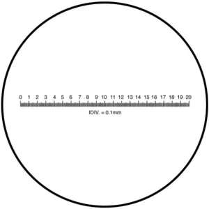 BAUSCH + LOMB 81-34-38 Scale Metric | AC9KEF 3H001